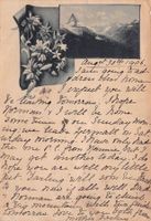 Vorläufer, Matterhorn, Edelweiss, gelaufen 1906