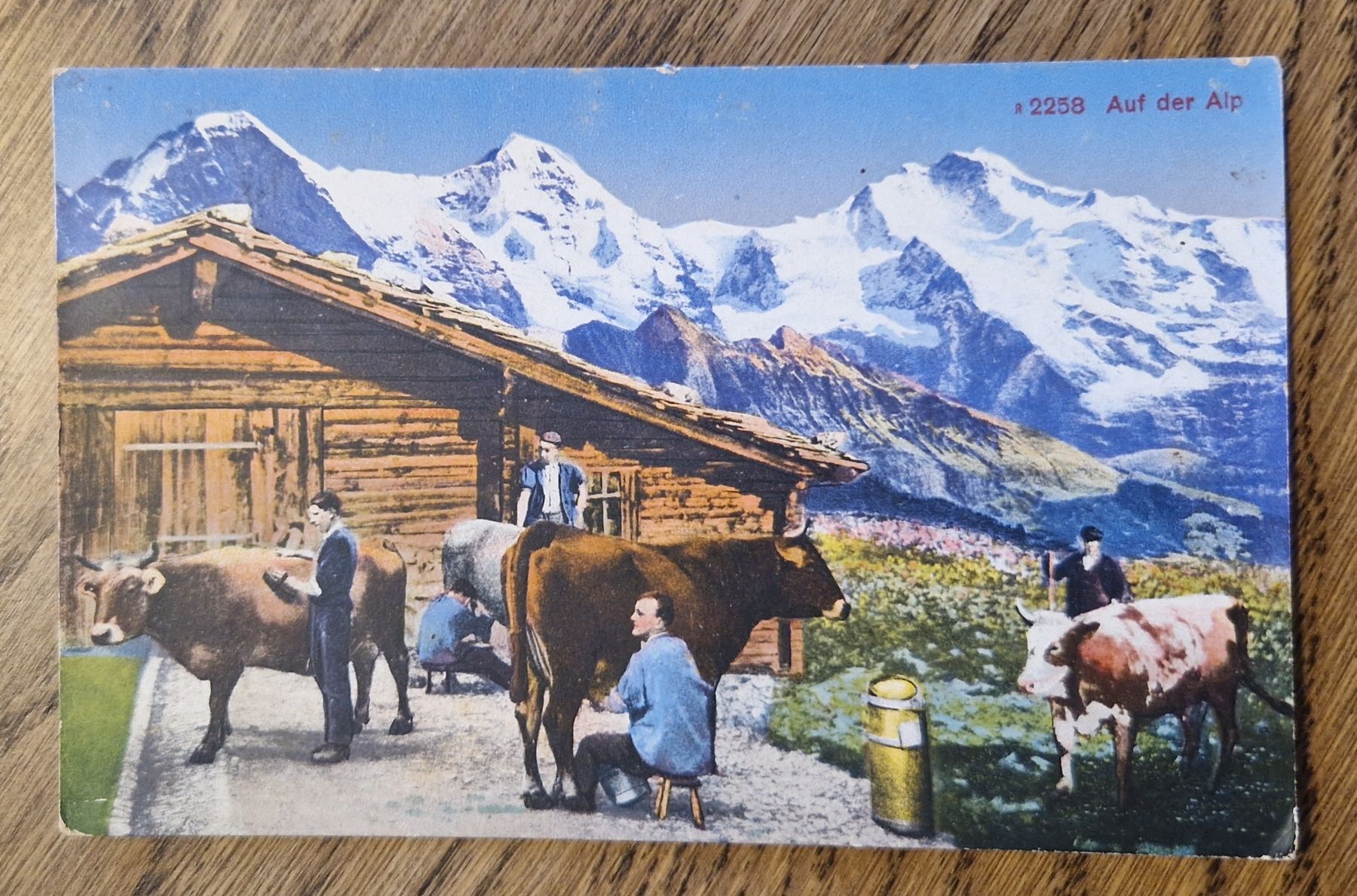 Cartoline postali: Auf der Alp 1913 – Usato da Ebikon venduto da Donar50