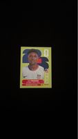 Panini - WM 2026 - USA 6 - Alex Freeman