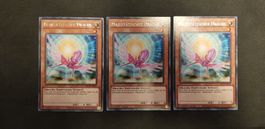 Yugioh Majestätischer Drache KICO