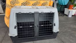 Box/Trasportino cane