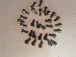 Inbusschrauben M 5 x 10 mm - 30 Stück in Edelstahl