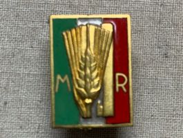 Italia - spilla fascista - "M R"