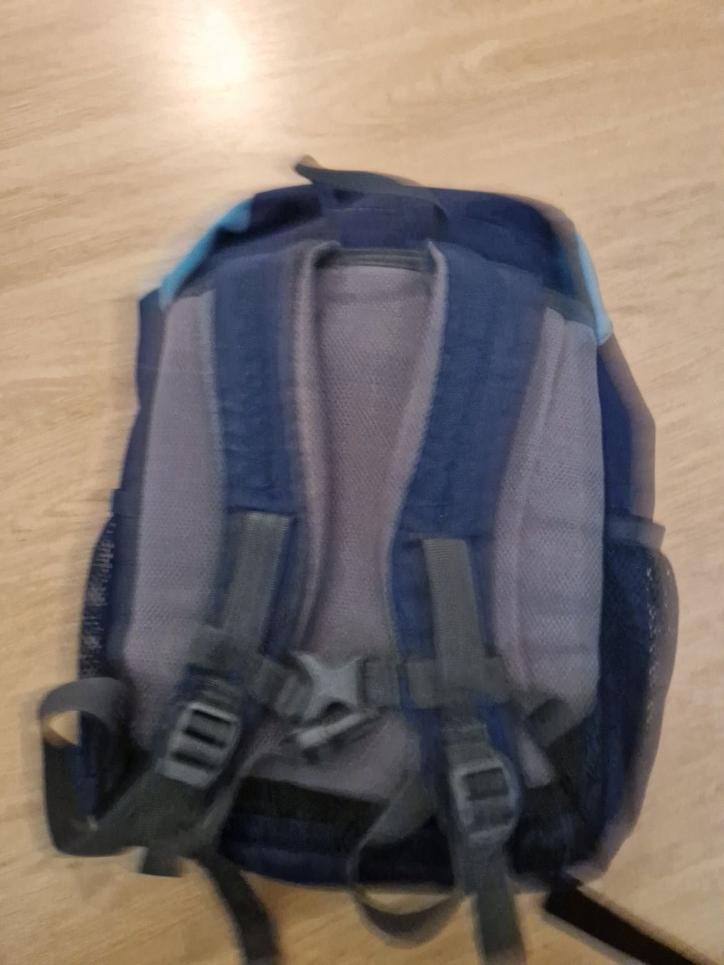 Deuter Sacs & sacs à dos: Kinderrucksack deuter Waldfuchs blau – D'occasion à Giswil par movo08 1