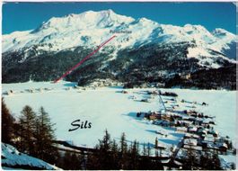 Sils