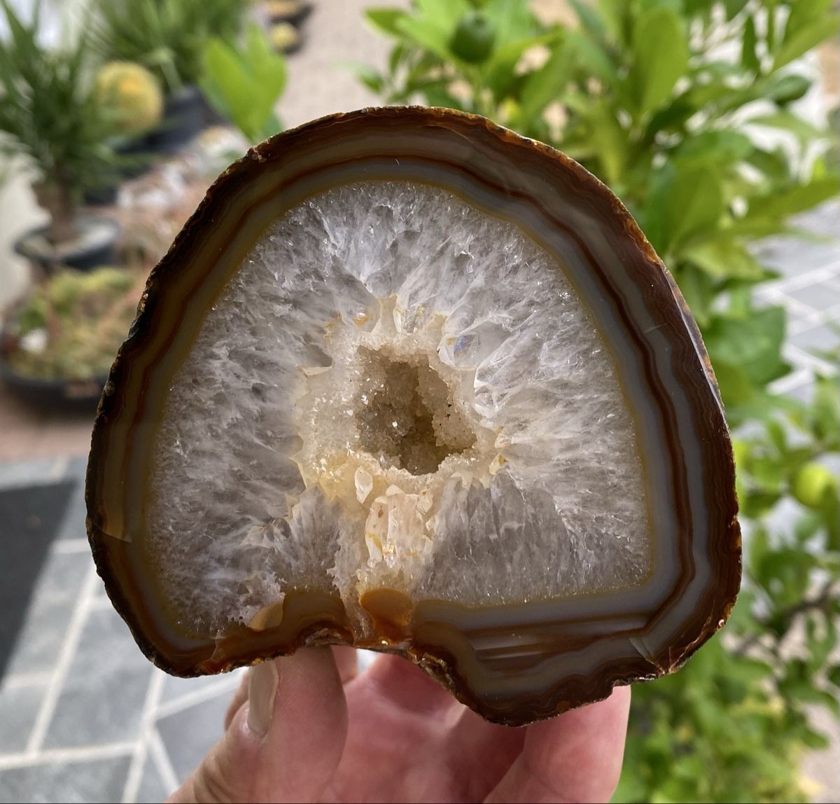Minerali & Pietre curative: Schöne Achat Geode – Usato da Selzach venduto da 321compac 1