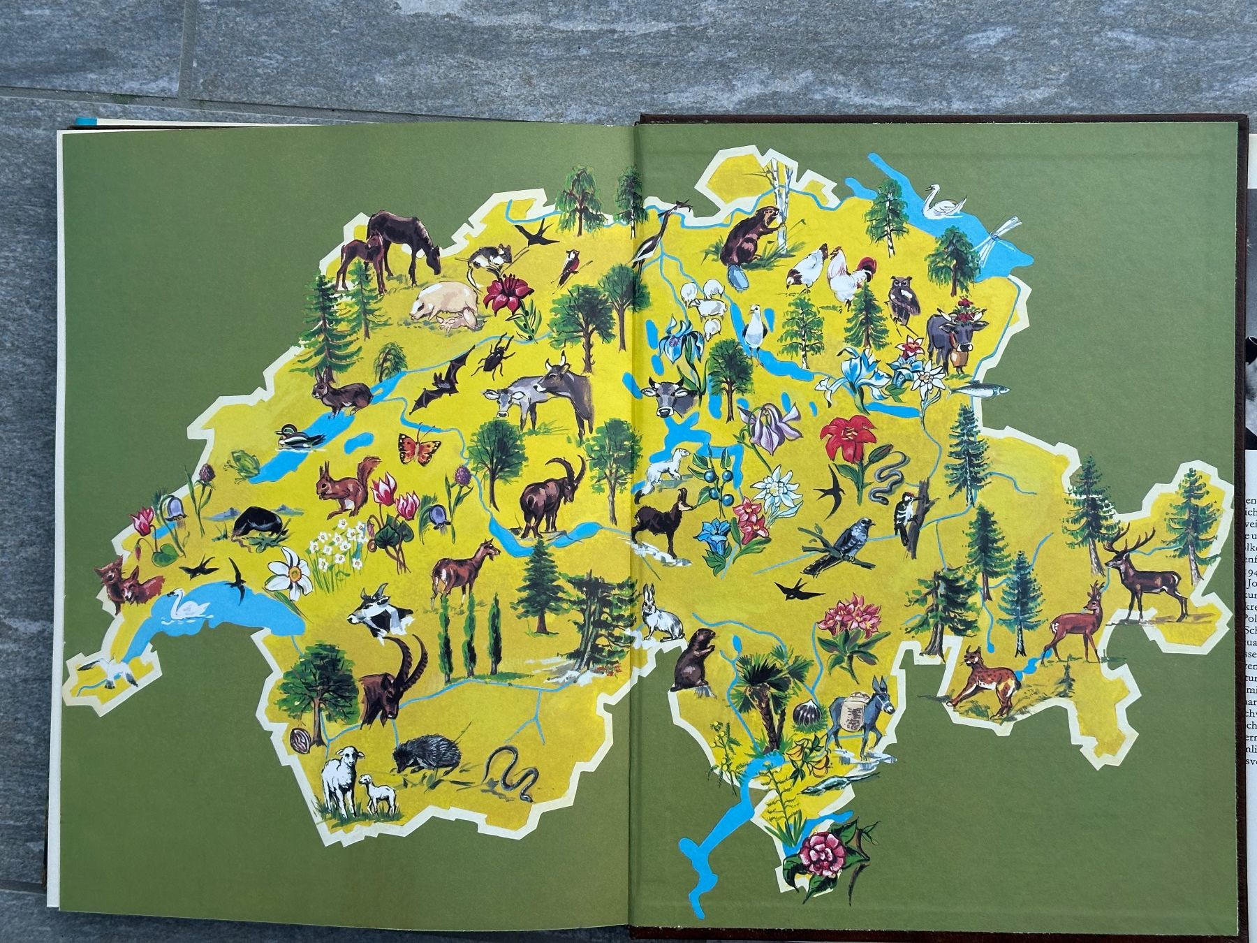 Libri: Die schönsten 50 Wanderungen durch die Schweiz – Usato da Obstalden venduto da Porco13 3