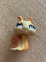 Littlest Pet Shop Schnecke 890