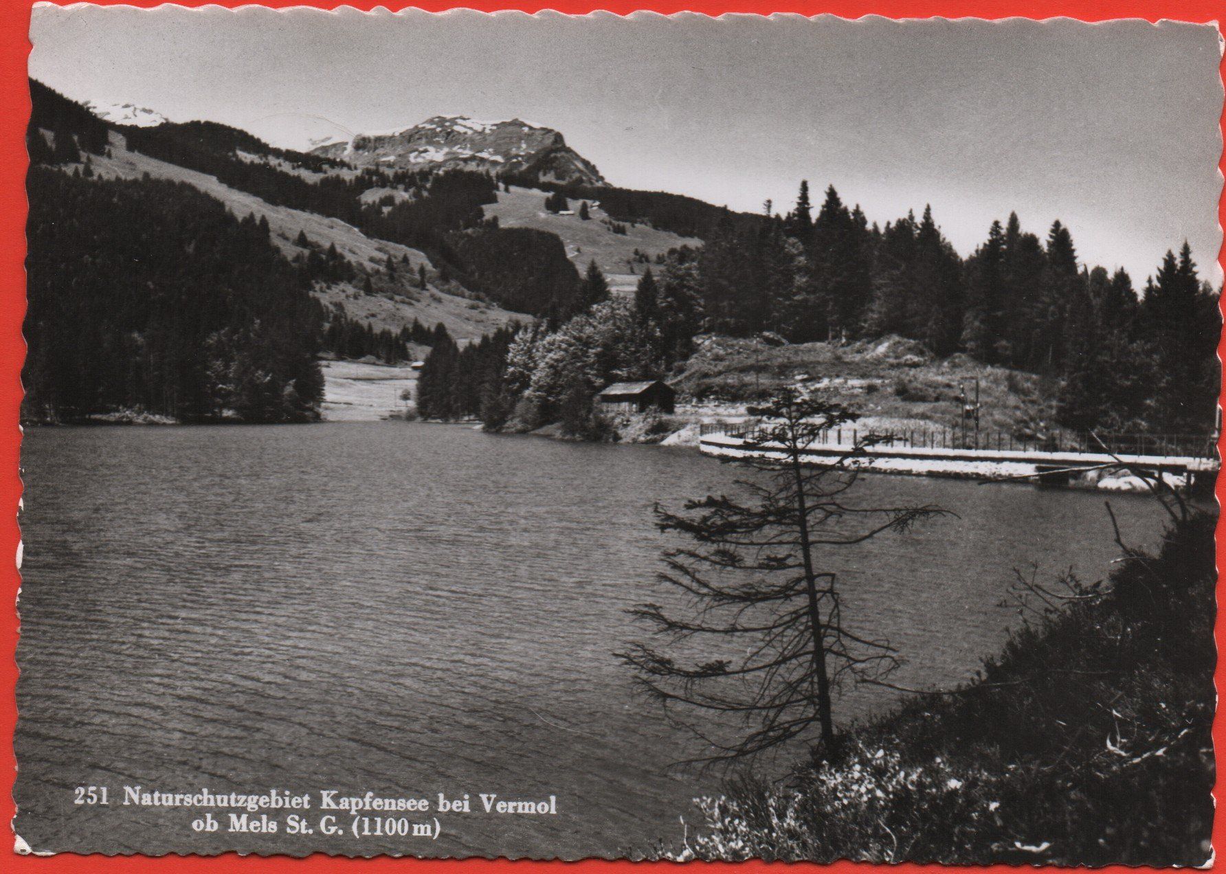 Cartoline postali: VERMOL ob Mels - Naturschutzgebiet Kapfensee – Usato da Jona venduto da philajona