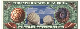 USA Fantasynote 2004 Muschel UNZ