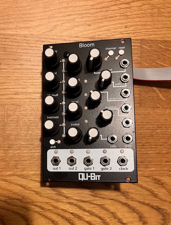 QU-Bit Bloom (Gebraucht) in Bern für CHF 250 – mit Lieferung auf ...