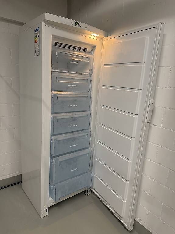 Gefrierschrank: Gefrierschrank Electrolux – Gebraucht aus Ilanz von GrBock 1