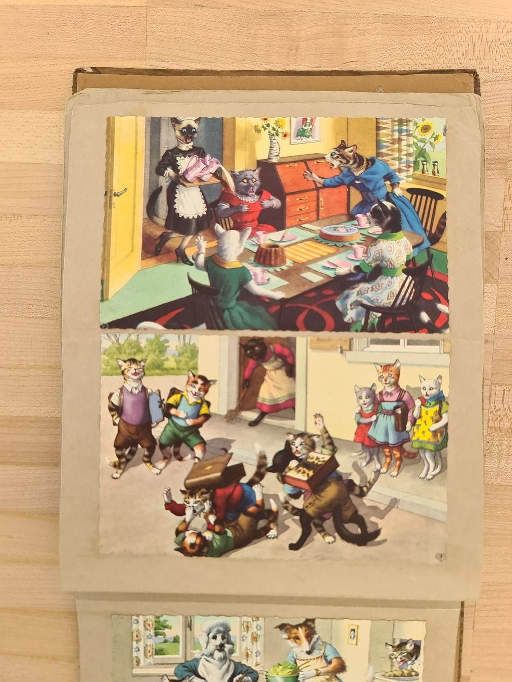 Album: Antikes Kartenalbum "Katzen" – Usato da Uster venduto da Cruleye 5