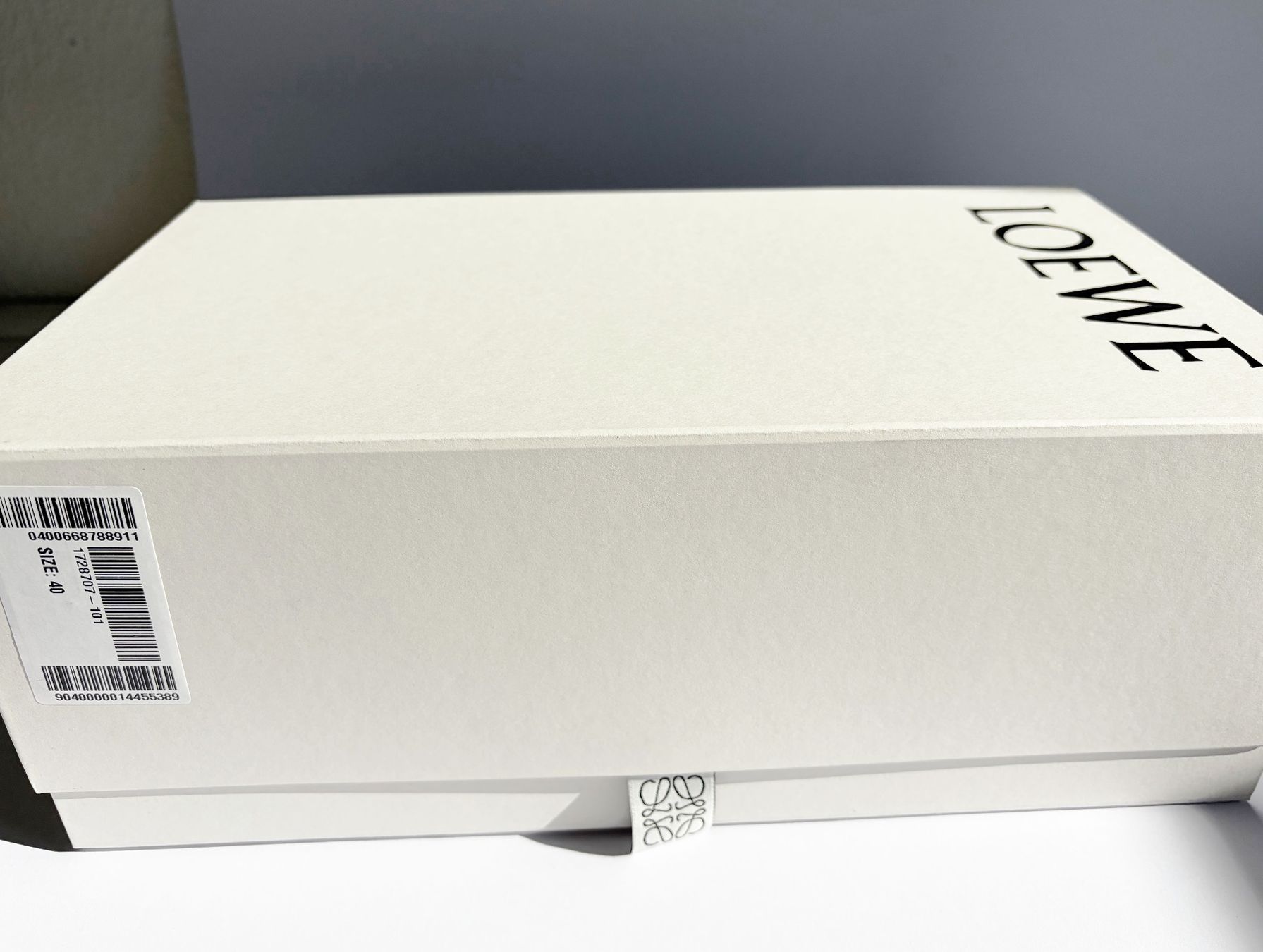 Loewe Scarpe da uomo: Loewe Ballet Runner 2.0, size 40, neuwertig – Nuovo (secondo la descrizione) da Zürich venduto da suza44 7