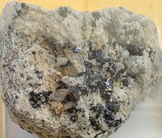 Binntal Spezis.10 x  Rarität. Lassen Sie sich Überraschen
