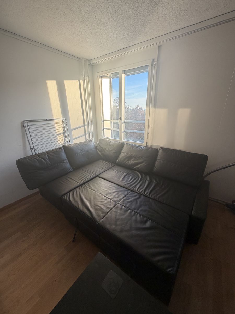 Ikea Divani: IKEA Friheten Eckbettsofa mit Bettkasten – Usato da Bern venduto da -Noah 2