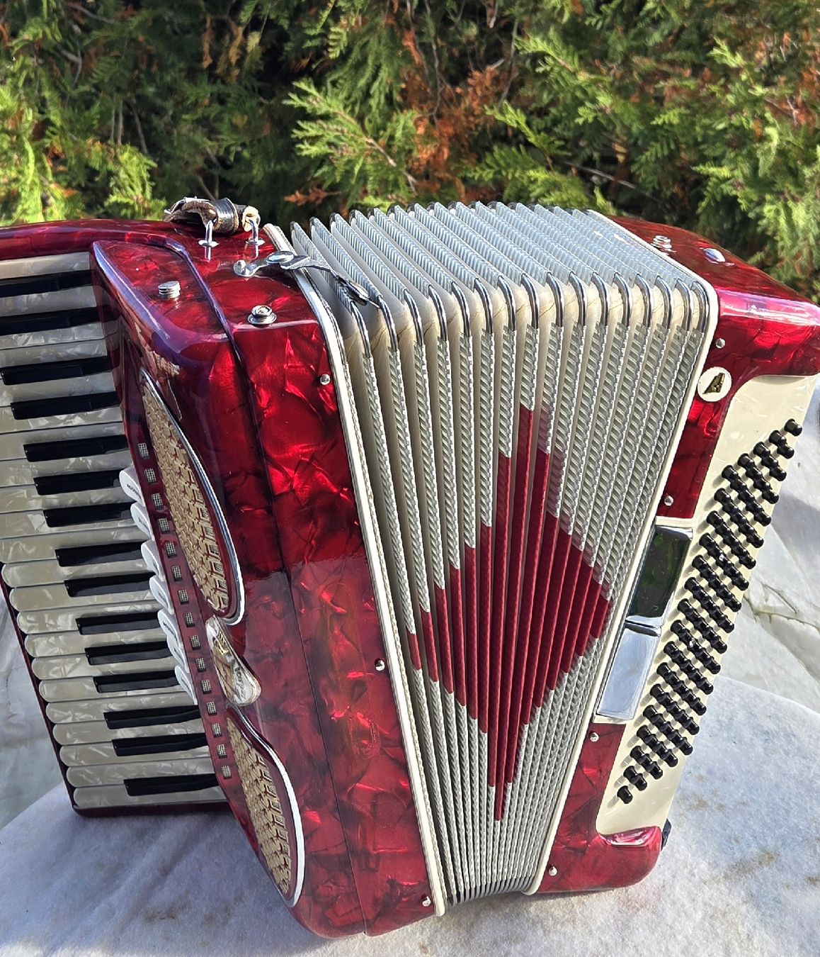 Excelsior Instruments de musique: Accordéon Excelsior  – D'occasion à Penthalaz par EvandroLuz 1