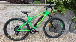 E-Bike Mountainbike im TOP Zustand