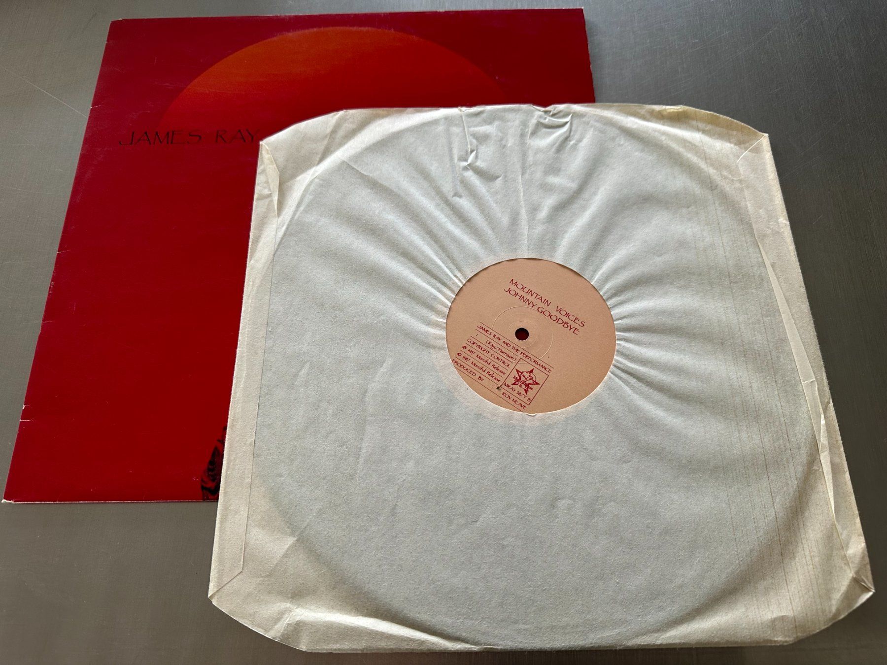Dischi in vinile: JAMES RAY & THE PERFORMANCE 12 TEXAS - GOTHIC - ROCK GOTHIC – Usato da Sion venduto da jaipur1401 2