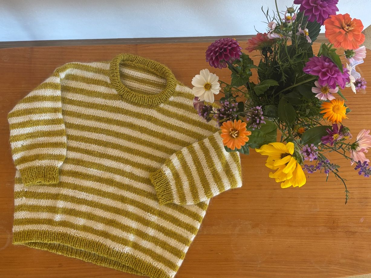Pulls et sweat-shirts: Strickpullover Holger neu – D'occasion à Winterthur par drande