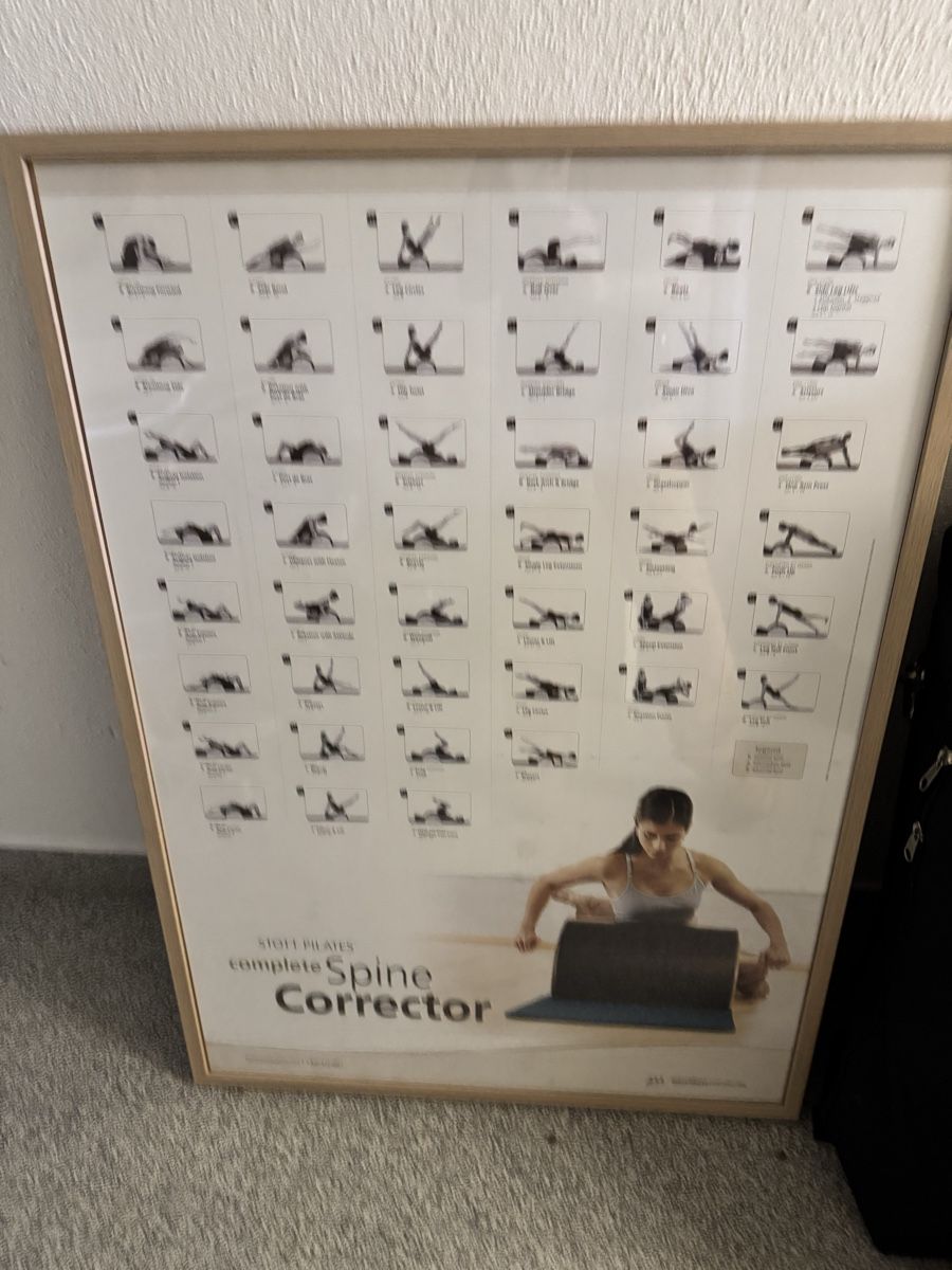 Poster & Bilder: Original STOTT PILATES Anatomie Poster mit Holzrahmen – Gebraucht aus Au ZH von sha_dqx2 3