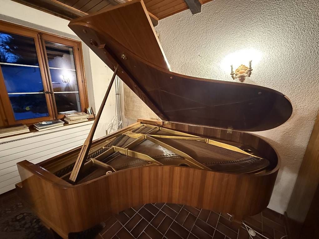 Strumenti musicali: Piano – Usato da Ependes VD venduto da top_ps52 3
