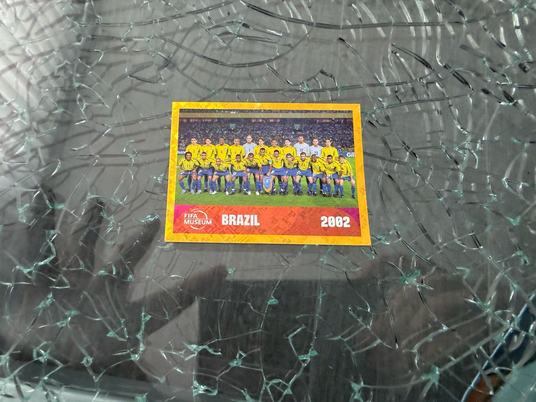 Panini Carte collezionabili: WM 2026 - Panini - Brazil 2002 – Usato da Pfäffikon ZH venduto da Marcodesi76