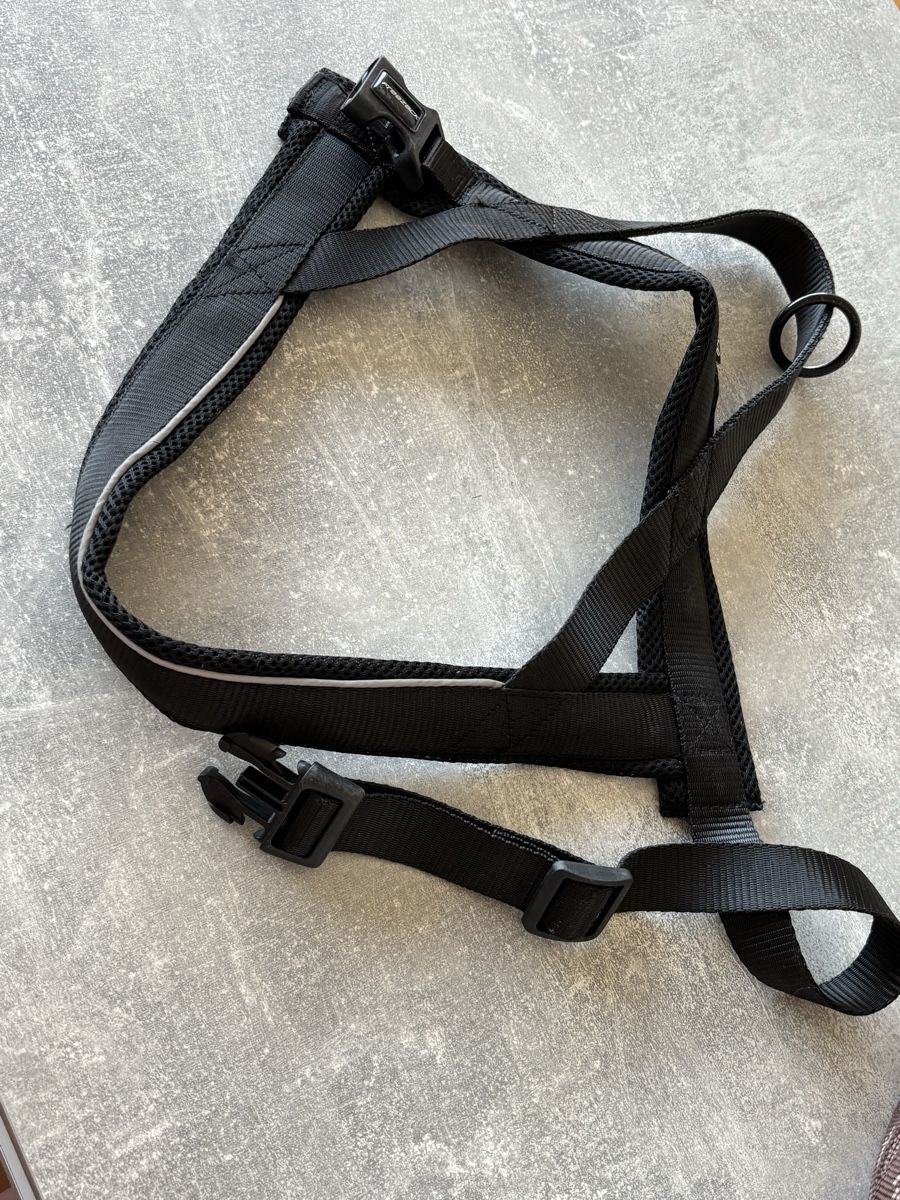 Collier et laisse: Hundegeschirr L – Neuf (Voir description) à Glattbrugg par S_ch_ 2