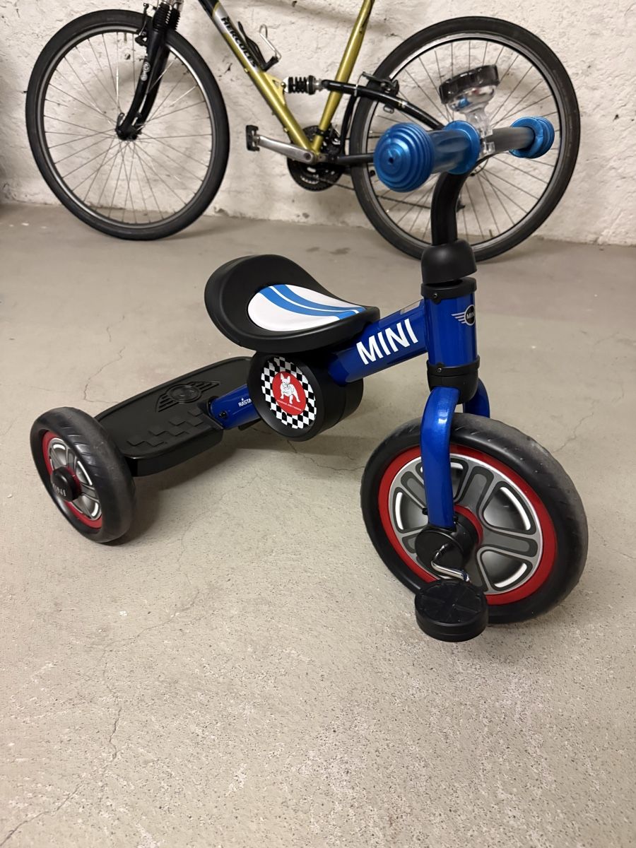 Veicoli per bambini: MINI Tricycle for Children  – Usato da Adliswil venduto da dus_pbz8