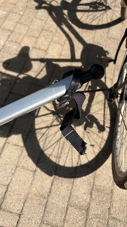 Thule Anhänger: Thule Chariot Lite 2  - gebrauchter Zustand – Gebraucht aus Zürich von HeroMama 4