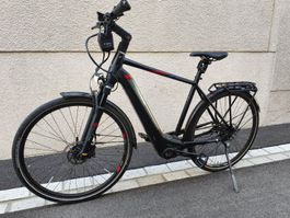E-bike Pegasus ABS Bremsen Grösse XL