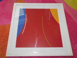 Sammlung Verkauf - Kunst Serigraphie v Müller - Tosa Heinz