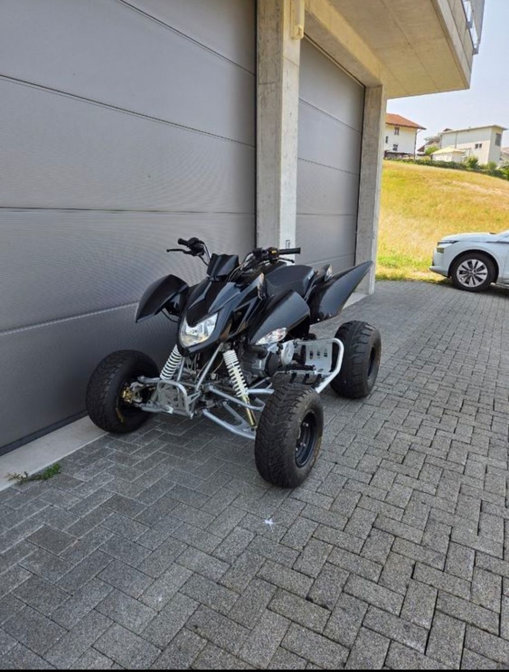 Access Motor Quads: quad access 300 – D'occasion à Losone par TI6616 1