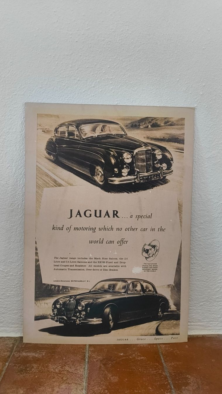 Foto & Immagini: Vintage Jaguar poster – Usato da Pedrinate venduto da Abitandmore