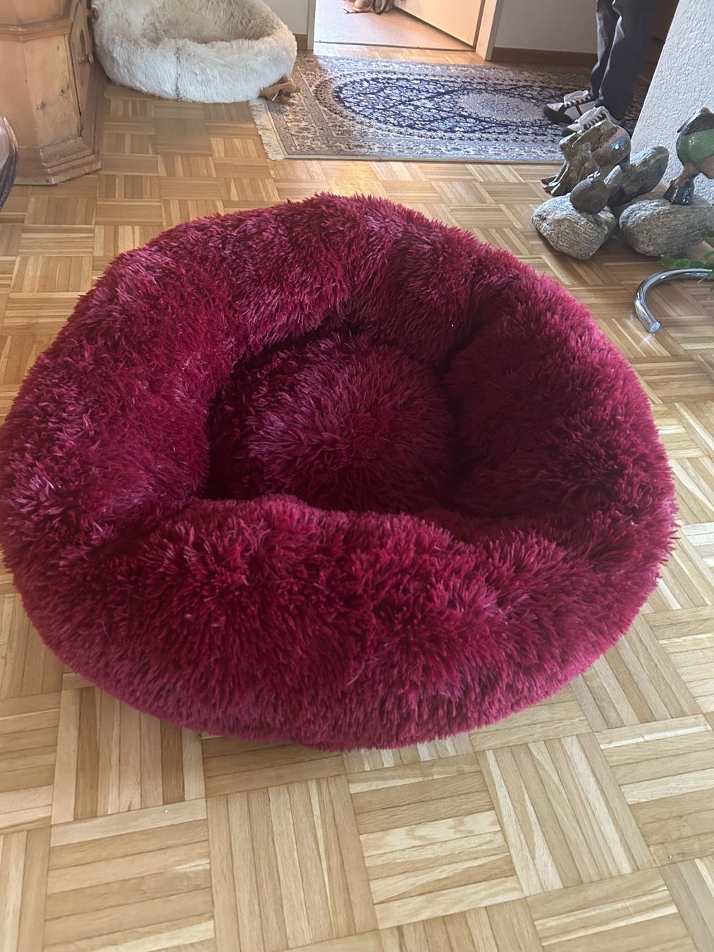 Cucce & Letti: Hundebett sehr flauschig – Usato da unterengstringen venduto da enilorac61resaw