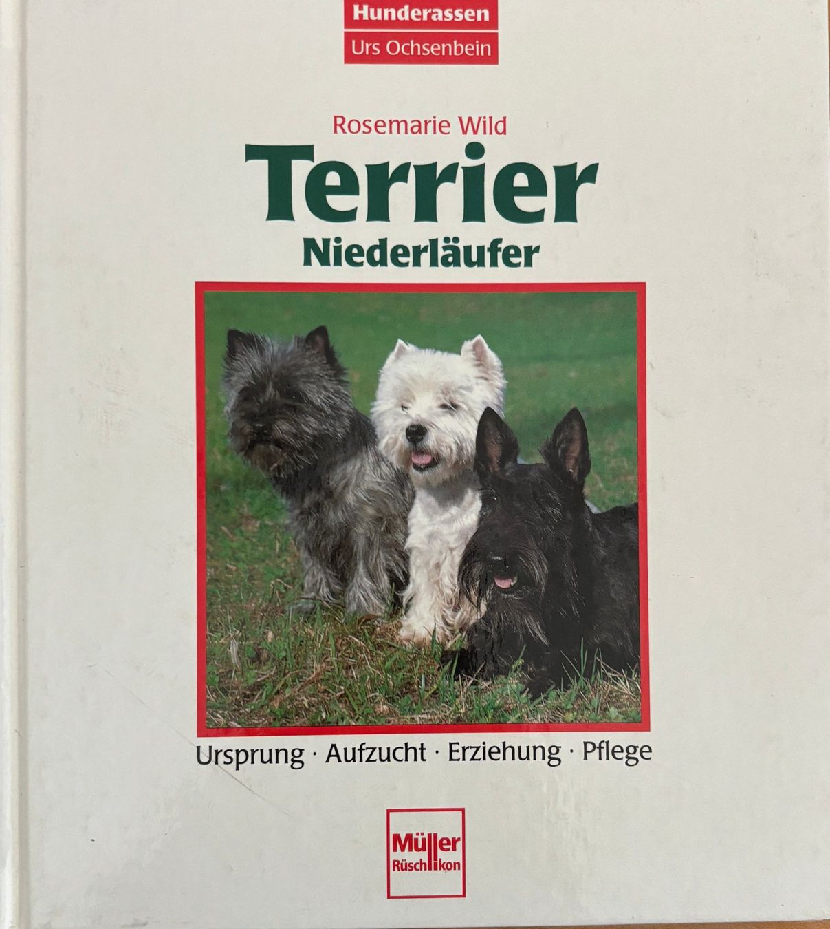 Bücher: Wild Rosemarie, Terrier - Niederläufer – Neu (gemäss Beschreibung) aus Sarnen von Livres