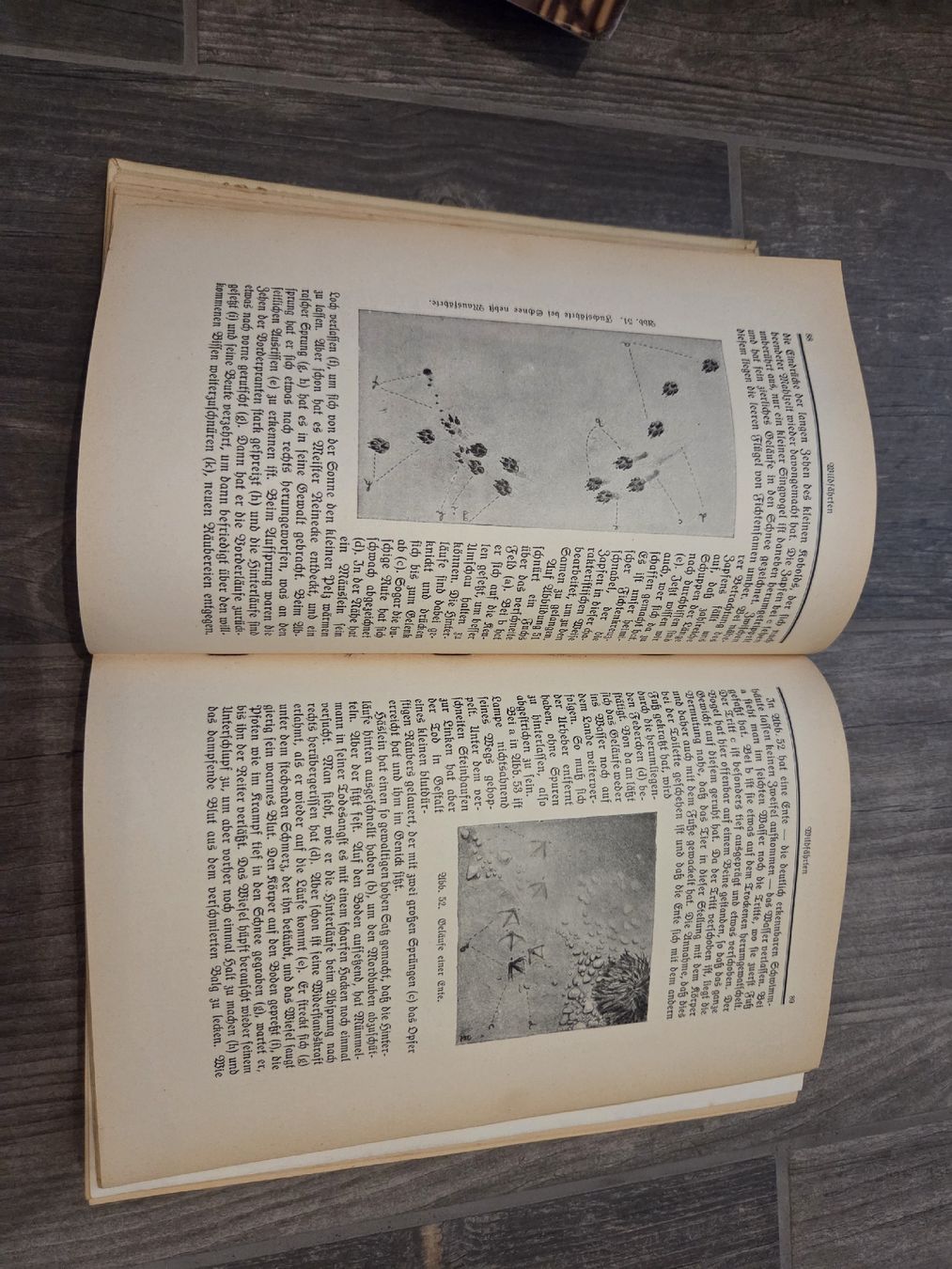 Libri: Durch die weite Welt – Usato da Bülach venduto da Ayanee 3