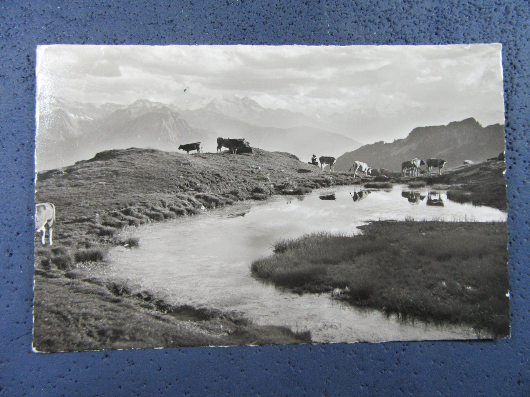 see through black top outfit