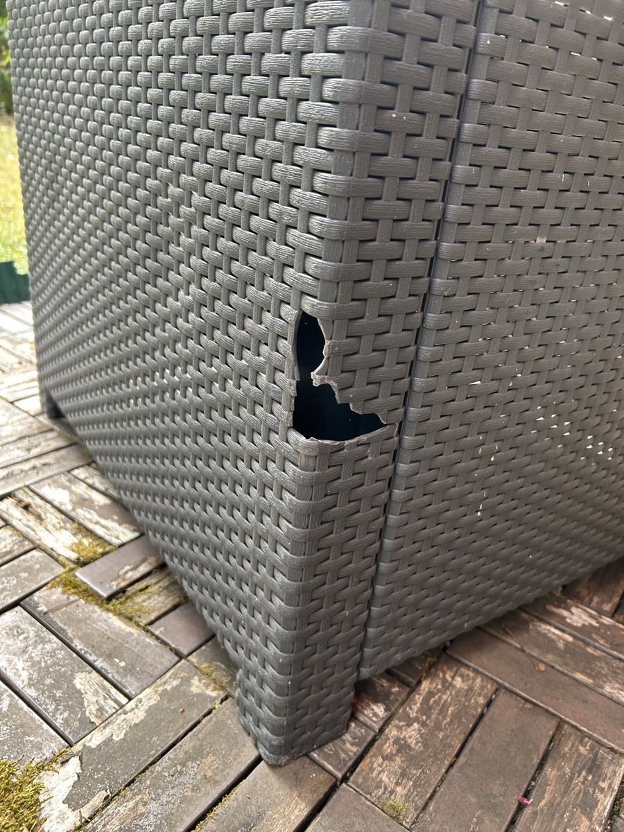 Poltrone: Sessel rattan Rattansitzt – Usato da Bern venduto da jonathanconconi 4