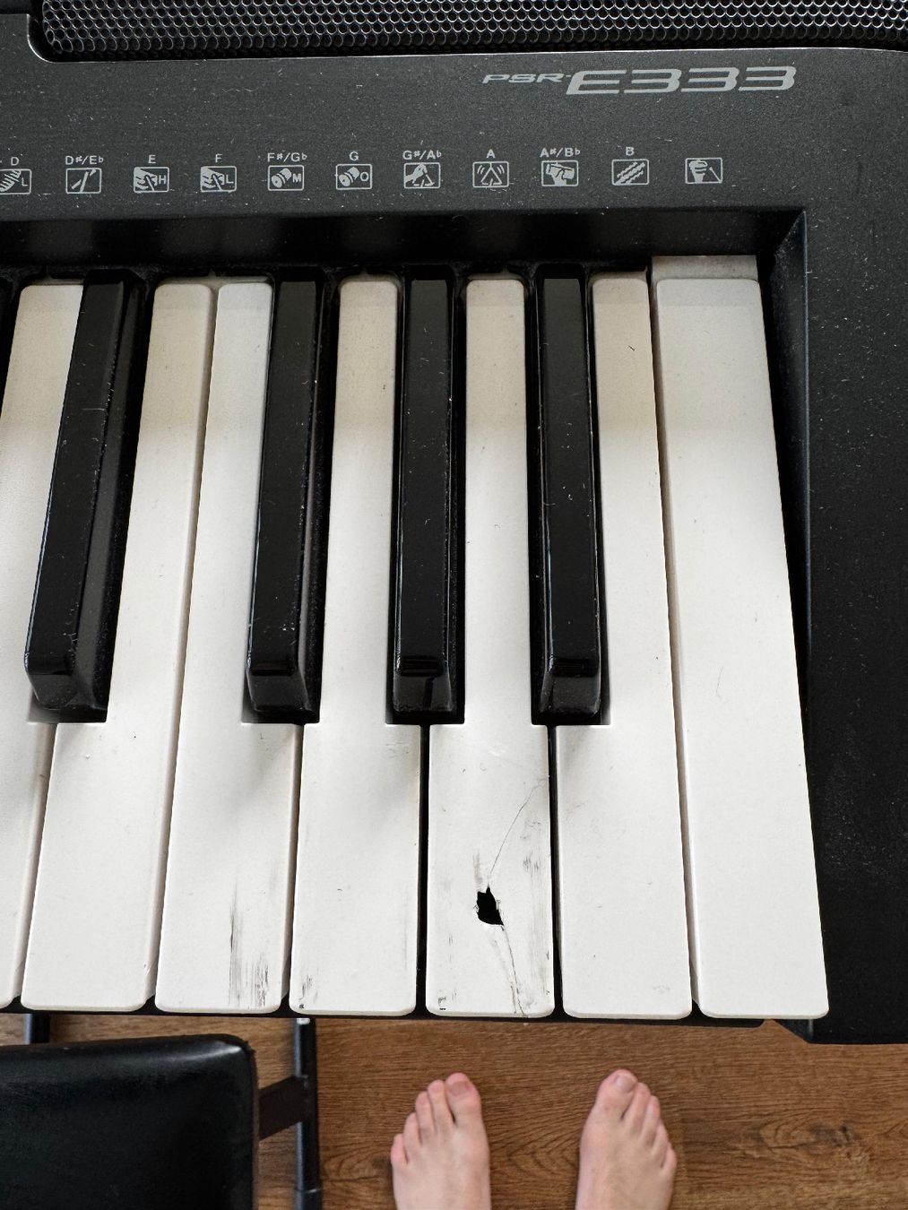 Yamaha Strumenti musicali: Piano électronique à 5 octaves – Usato da Olten venduto da leo_kt5r 1