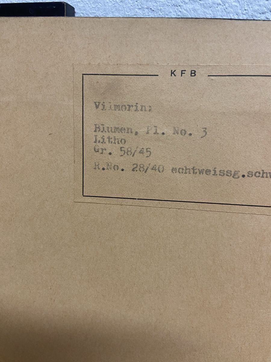 Grafica & Litografie: Vilmorin Lithografien 3 Stk – Usato da Jona venduto da aroosa 6