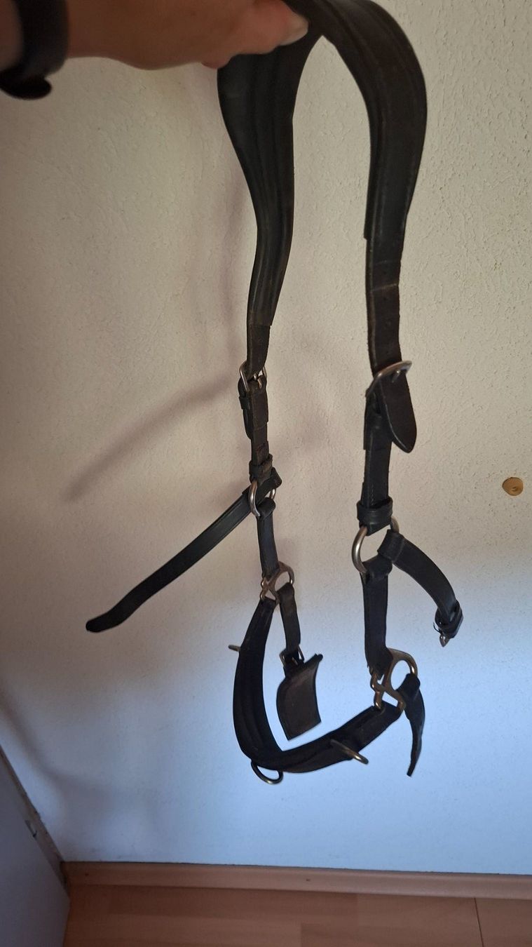 Brides, licols: Kappzaum Pony/Isländer – D'occasion à Hornussen par Mwie1 1