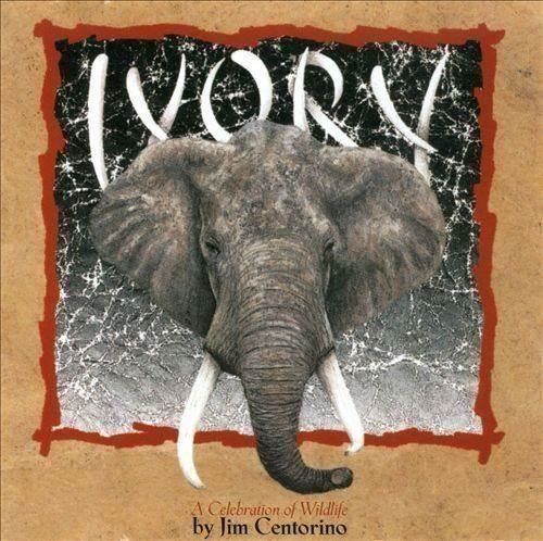 CDs: Jim Centorino IVORY Jazz New Space AgeCD – Neu (gemäss Beschreibung) aus Genève von Cockattoo