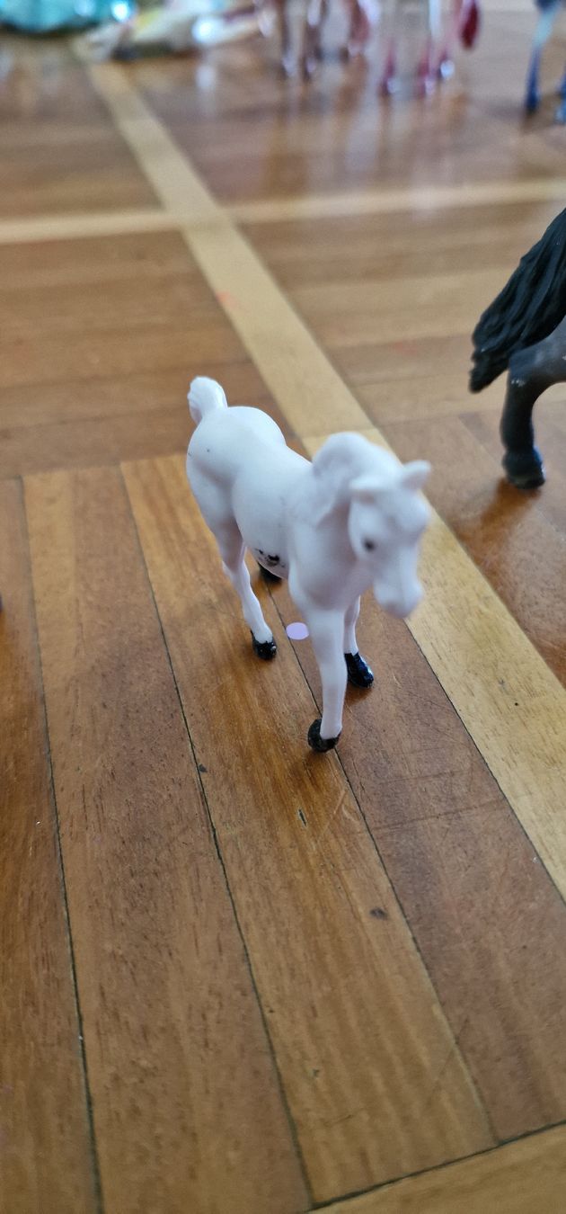 Schleich Jouets: Schleichtiere – Neuf (Voir description) à Wallisellen par sugon 3
