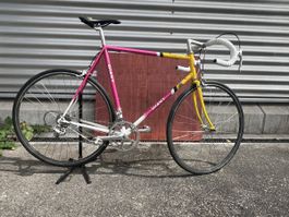 Vintage GIANT Rennrad