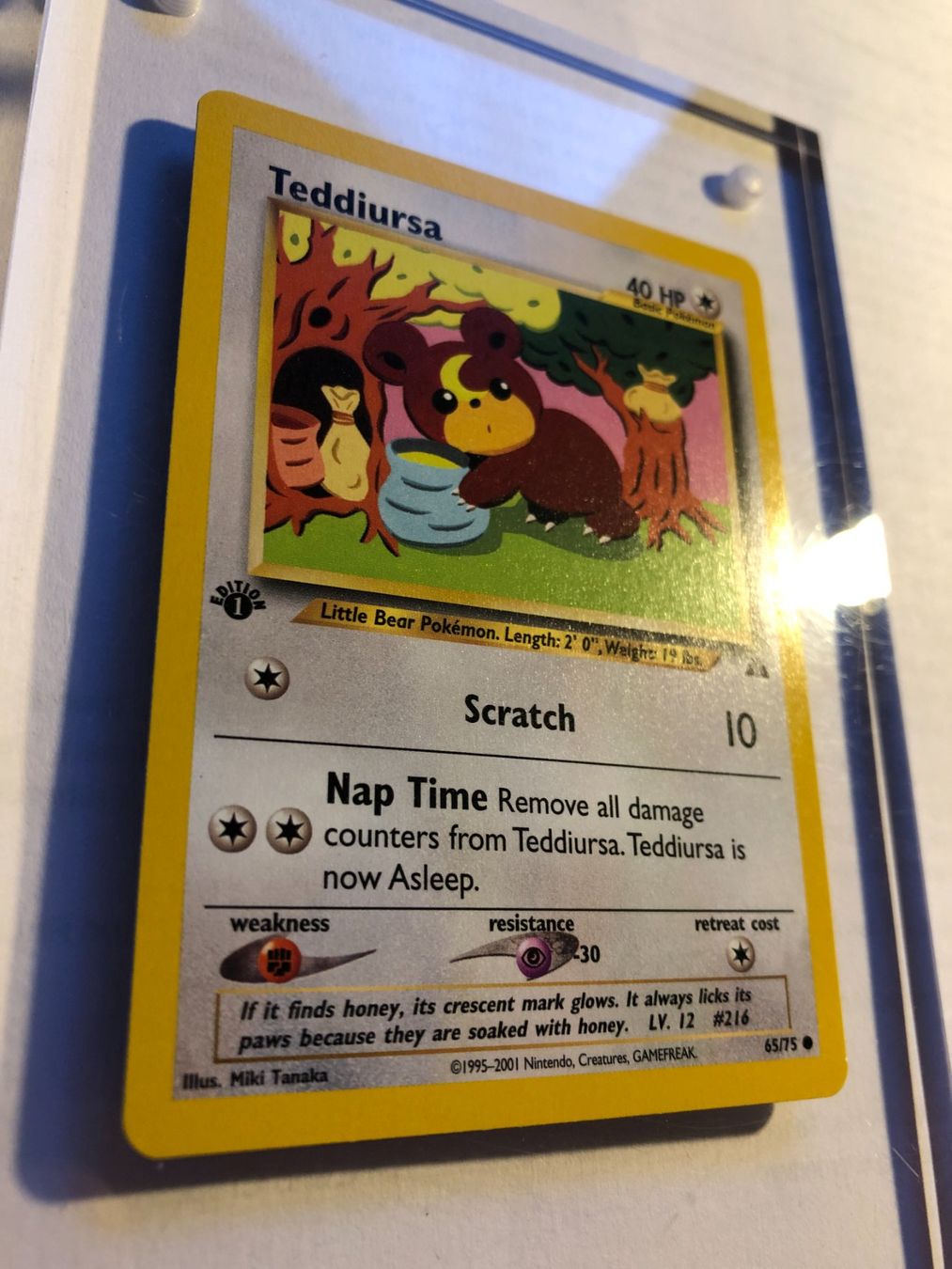 Sammelbilder & Trading cards: Teddiursa 1st Neo Discovery - MINT - ab 1.- – Gebraucht aus Giubiasco von dan_pr8b 1