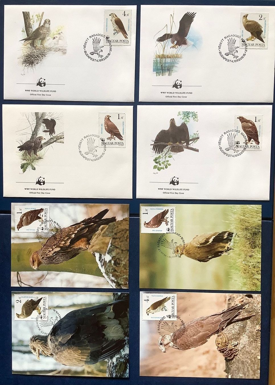 Tutti i francobolli: 1983 Ungarn  Vogel FDC + Maximum- Adler – Nuovo (secondo la descrizione) da Liestal venduto da Pep3