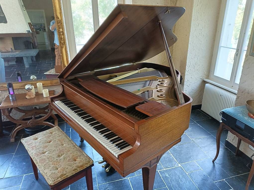 Strumenti musicali: Lester grand piano – Usato da Arvillard (Salins) venduto da spirit-chris 1
