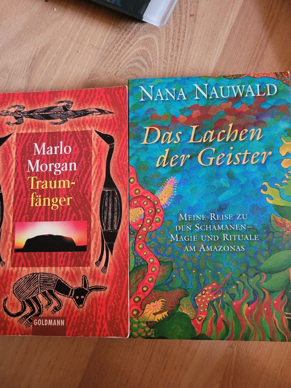 Bücher: Traumfänger und das Lachen der Geister – Gebraucht aus Bennau von nat_myx8