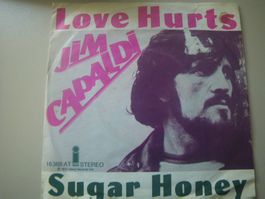 Vinyl-Single Jim Capaldi - Love Hurts